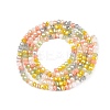 Electroplate Glass Beads Strands GLAA-T023-A16-04-2