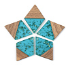 Transparent Resin & Walnut Wood Pendants RESI-S389-012A-B03-1