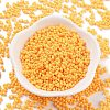 Baking Paint Glass Seed Beads SEED-A033-04K-2
