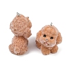 Flocky Resin Pendants FIND-A052-06K-2