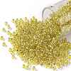 TOHO 8/0 Round Beads SEED-JPTR08-2151S-1