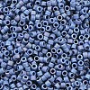 MIYUKI Delica Beads LS-X-SEED-J020-DB2317-2