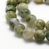 Natural Tree Agate Beads Strands G-G735-02-6mm-3