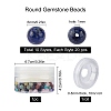 DIY Chakra Themed Stretch Bracelets Making Kits DIY-SC0012-73-2