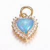 Brass Micro Pave Cubic Zirconia Charms ZIRC-G141-01G-2