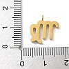 Ion Plating(IP) 304 Stainless Steel Micro Pave Cubic Zirconia Charms STAS-Z107-09G-10-3