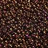 TOHO 8/0 Round Beads X-SEED-TR08-0514-2