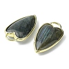 Natural Labradorite Pendants G-O204-02F-2