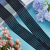 10M Knitted Fish Line Nylon Elastic Lace Trim OCOR-GF0003-71B-4
