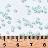 Glass Seed Beads SEED-S060-A-973-5