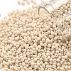TOHO Round Seed Beads SEED-JPTR11-0763-1