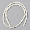 Natural Freshwater Shell Beads Strands SSHEL-R048-006A-2