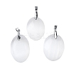 Natural Selenite Pendants G-M091-01C-1