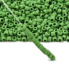 TOHO 6/0 Round Beads X-SEED-TR06-0047F-2