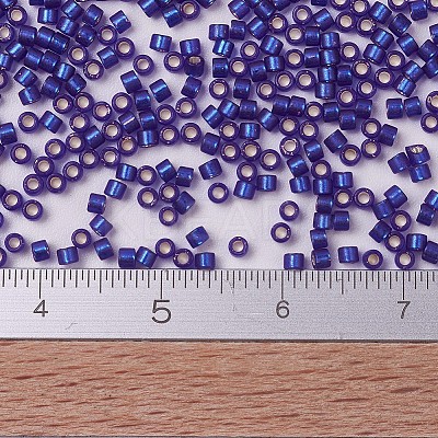 MIYUKI Delica Beads SEED-X0054-DB0696-1