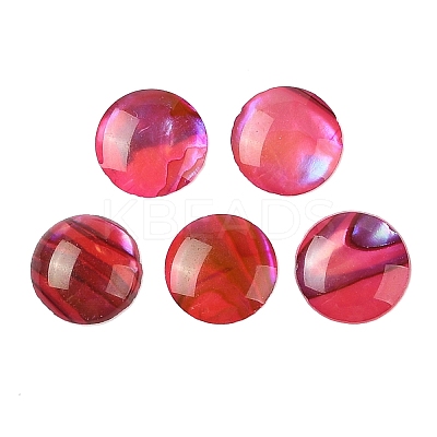 Natural Abalone Shell/Paua Shell Resin Cabochons SSHEL-K003-8MM-01-1