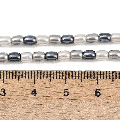 Electroplated Shell Pearl Beads Strands BSHE-H113-06B-02-1