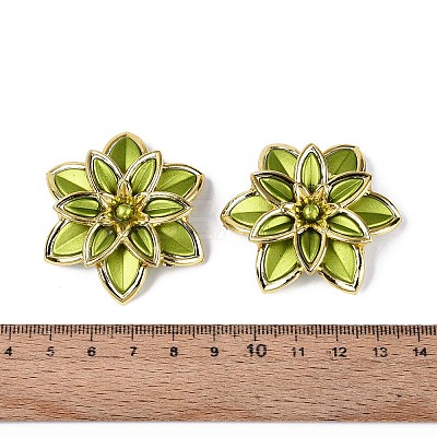 Matte Spray Painted Acrylic Beads OACR-N159-01A-1