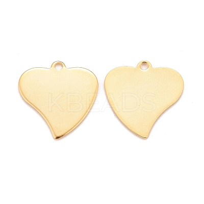 201 Stainless Steel Pendants STAS-K217-70G-1