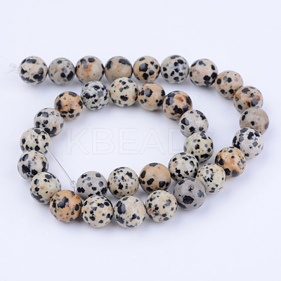 Natural Dalmatian Jasper Beads Strands X-G-Q462-8mm-30-1