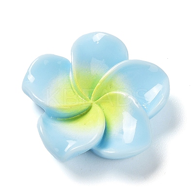 Opaque Resin Cabochons RESI-G068-02A-1