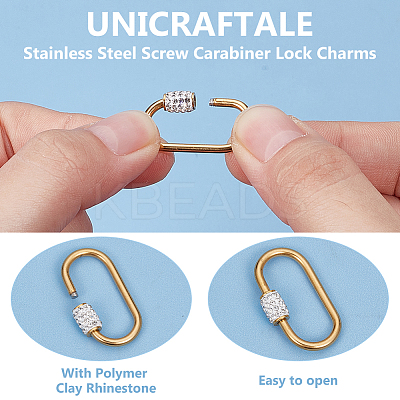 4Pcs 2 Colors 304 Stainless Steel Screw Carabiner Lock Charms STAS-UN0060-75-1