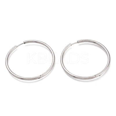 Tarnish Resistant 304 Stainless Steel Needle with 201 Stainless Steel Ring Huggie Hoop Earrings EJEW-L256-02E-P-1