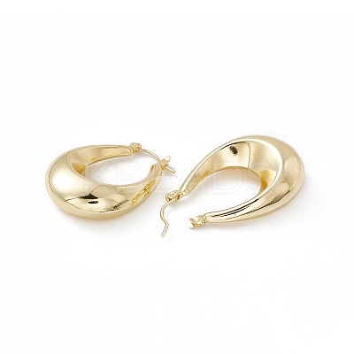 Brass Teardrop Thick Hoop Earrings for Women EJEW-I270-07G-1