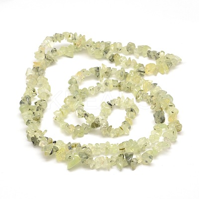 Prehnite Chip Bead Strands X-G-M205-11-1