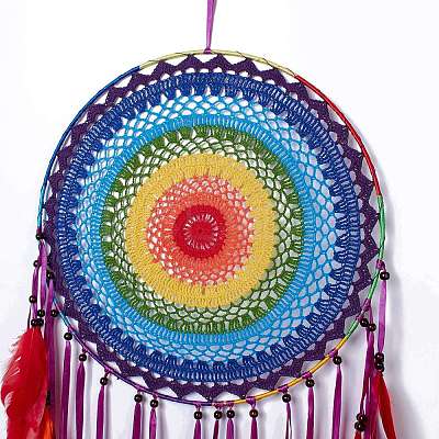 Native Style Iron Ring Woven Net/Web with Feather Wall Hanging Decoration HJEW-A001-09-1