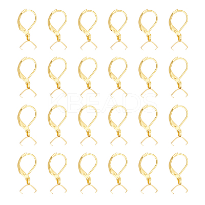 30Pcs 304 Stainless Steel Leverback Earring Findings STAS-UN0041-90-1