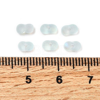 Glass Frosted Seed Beads SEED-NH0002-01D-1