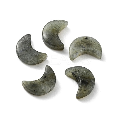 Natural Labradorite Beads G-NH0001-01D-1