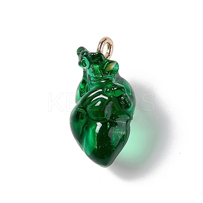 Transparent Resin Pendants LS-RESI-E028-01G-10-1