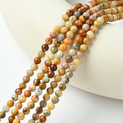 Natural Crazy Lace Agate Round Bead Strands X-G-E334-4mm-20-1
