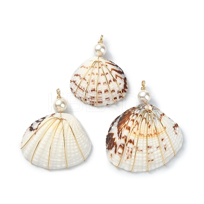 Natural Shell Copper Wire Wrapped Pendants PALLOY-TA00078-03-1
