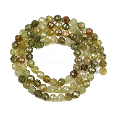 Natural Green Garnet Beads Strands G-B181-A01-4mm-1