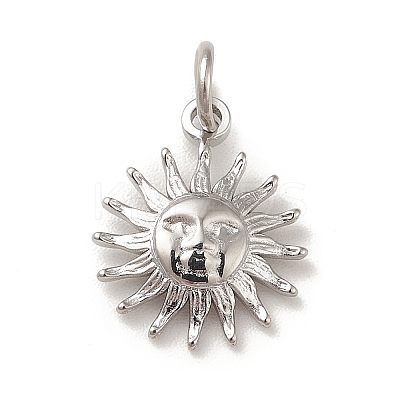 Non-Tarnish 304 Stainless Steel Charms LS-STAS-G295-03P-1