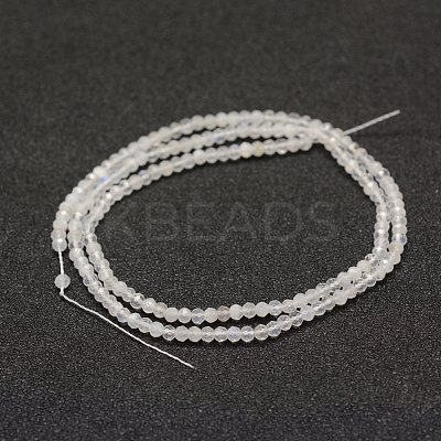 Natural Rainbow Moonstone Beads Strands G-F460-08-1