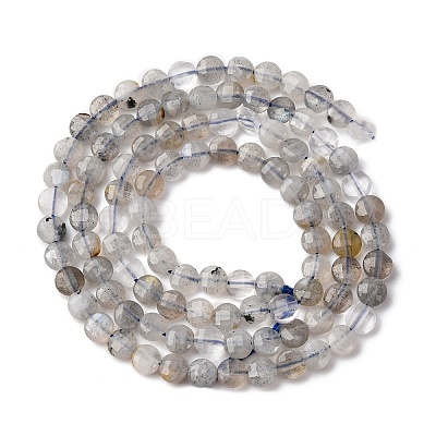 Natural Labradorite Beads Strands G-RM2025-A28-1