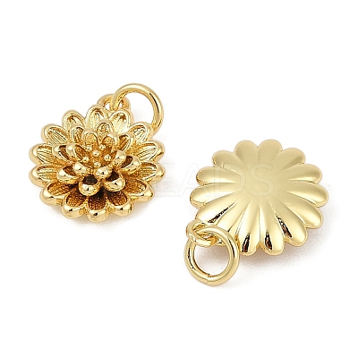 Brass Charms KK-S527-12G-1