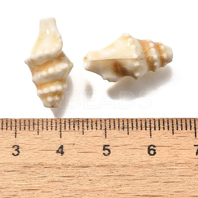 Handmade Porcelain Beads PORC-H013-03-08-1