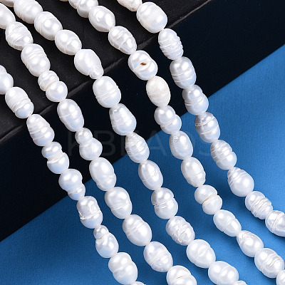 Natural Cultured Freshwater Pearl Beads Strands PEAR-N012-03J-1