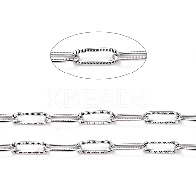 Tarnish Resistant 304 Stainless Steel Paperclip Chains CHS-D033-06P-01-1