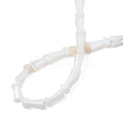Natural Freshwater Shell Beads Strands SHEL-N026-199-1