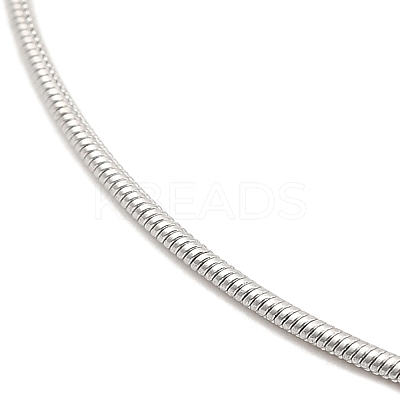 Non-Tarnish 304 Stainless Steel Snake Chain Necklace for Women NJEW-G104-01P-1