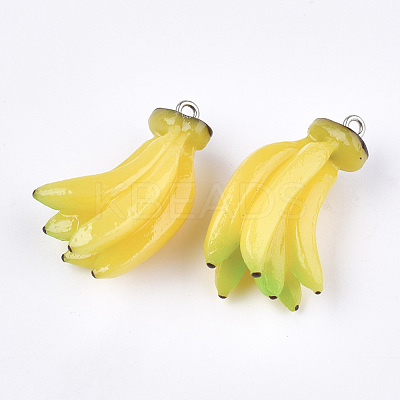 Resin Pendants X-RESI-T028-46-1