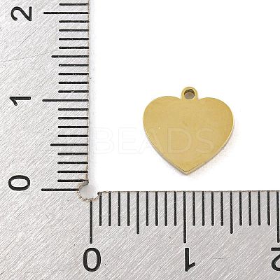 316 Surgical Stainless Steel Enamel Charms STAS-M073-32A-03G-1
