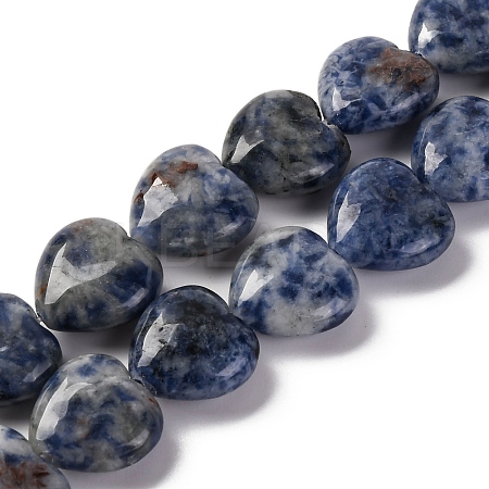 Natural Blue Spot Jasper Beads Strands G-I372-A13-02-1