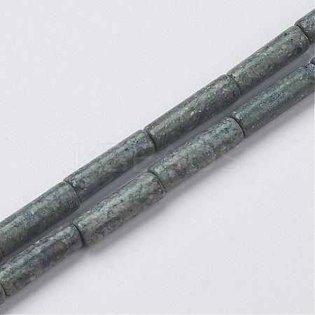 Natural Serpentine/Green Lace Stone Beads Strands G-G968-F12-1